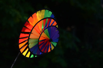 Colored Spinner
