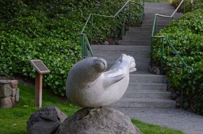 Popeye, the Harbor Seal Statue