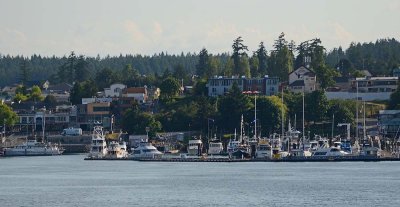 Friday Harbor & Whale Museum