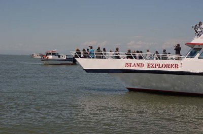 Boats Lined Up