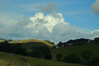 White Puffs, Lit Hills