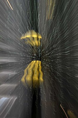 Zoom Zoom