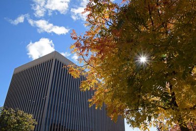 1000 4th Street with Tree Color