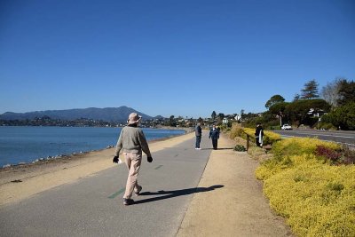 Long Path on a Gorgeous Day