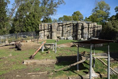 Baboon Enclosure