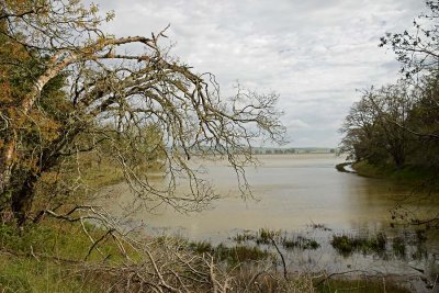 High Tide