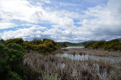 Pond One and Clouds