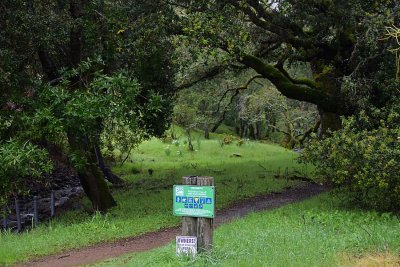 Pacheco Valle Open Space