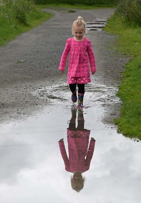 Puddle Reflections