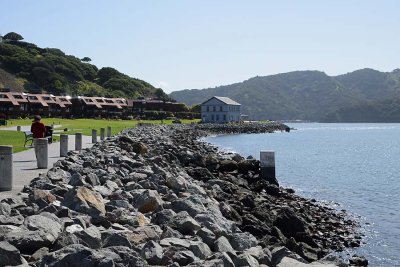 Rocky Shoreline