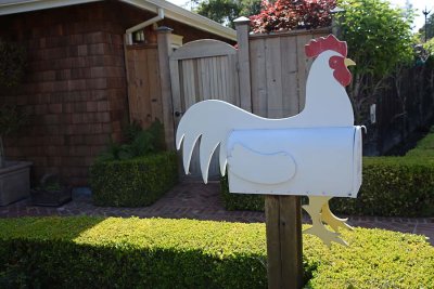 Rooster Mail