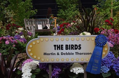 The Birds - First Place Prize