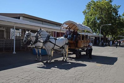 Horse-Drawn Wagon