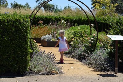Entering A Flower Garden