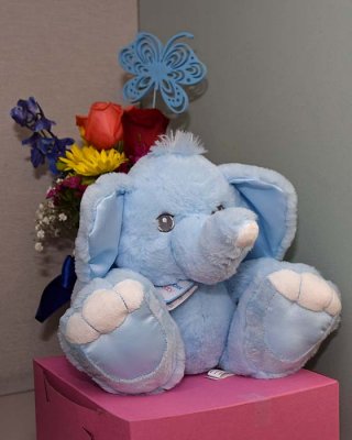 Elephant & Flowers