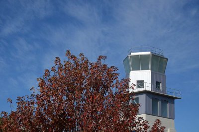 Tower and Tree