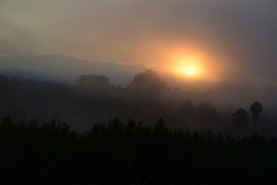 Sun Peeks Up