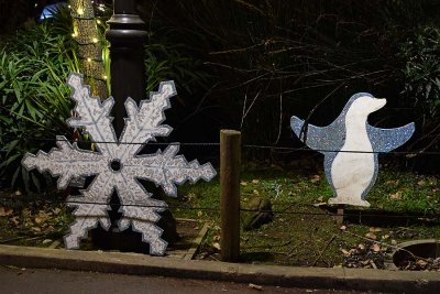 Snowflake & Penguin
