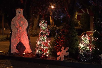 Polar Bear & Christmas Trees