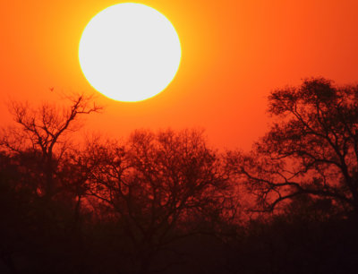 Zander Tian Kruger Park Oct 2014