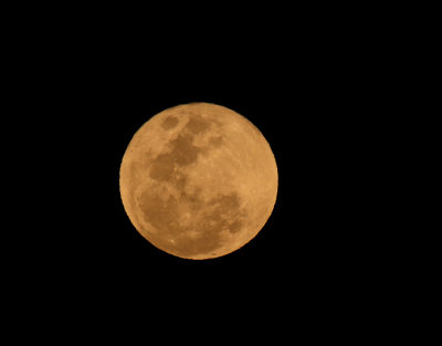 Kruger full moon