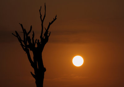 Kruger Park sunrise