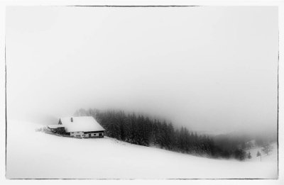 Black Forest Winter Scenery