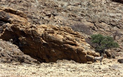 GEMSBOK