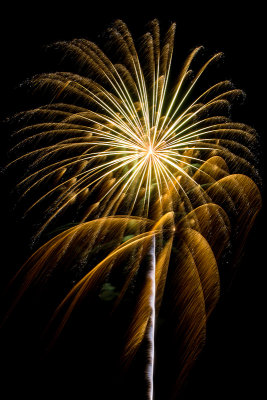 Flowers in the Sky - Pecan Grove Fireworks - July 4, 2013