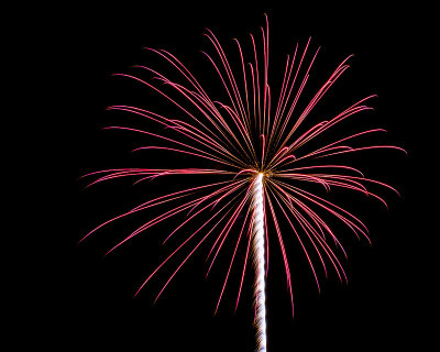 Flowers in the Sky - Pecan Grove Fireworks - July 4, 2013