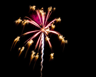 Flowers in the Sky - Pecan Grove Fireworks - July 4, 2013