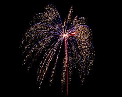 Flowers in the Sky - Pecan Grove Fireworks - July 4, 2013