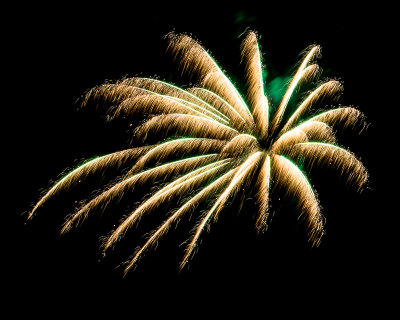 Flowers in the Sky - Pecan Grove Fireworks - July 4, 2013