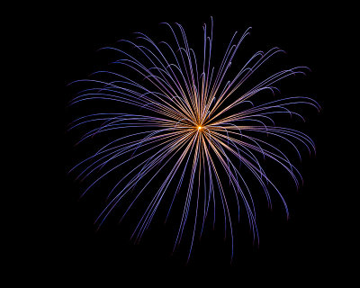 Flowers in the Sky - Pecan Grove Fireworks - July 4, 2013