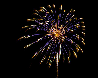 Flowers in the Sky - Pecan Grove Fireworks - July 4, 2013