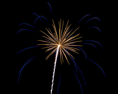 Flowers in the Sky - Pecan Grove Fireworks - July 4, 2013