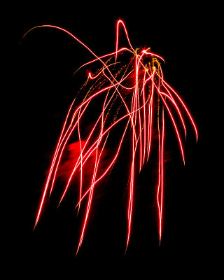 Flowers in the Sky - Pecan Grove Fireworks - July 4, 2013