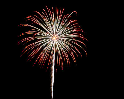 Flowers in the Sky - Pecan Grove Fireworks - July 4, 2013