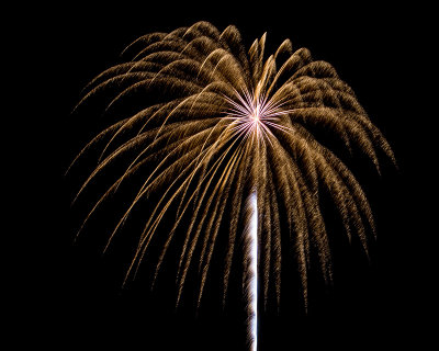Flowers in the Sky - Pecan Grove Fireworks - July 4, 2013