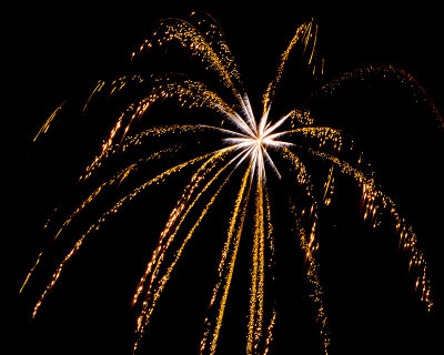 Flowers in the Sky - Pecan Grove Fireworks - July 4, 2013