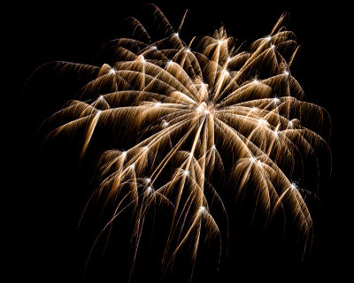 Flowers in the Sky - Pecan Grove Fireworks - July 4, 2013