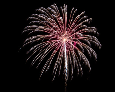 Flowers in the Sky - Pecan Grove Fireworks - July 4, 2013