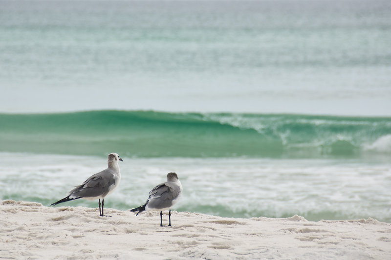 DESTIN, FLORIDA