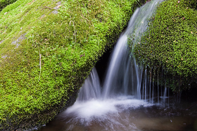 ROADSIDE STREAMS