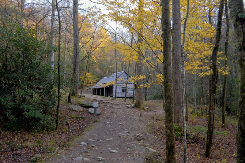 BUD OGLE CABIN IN ROARING FORK