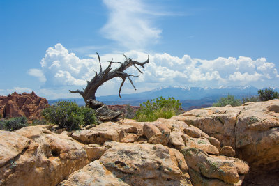 FIERY FURNACE AND LA SAL MOUNTAINS