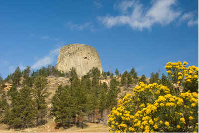 DEVIL'S TOWER