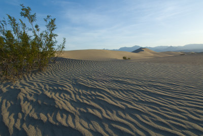 MESQUITE SAND DUNES