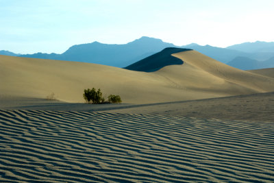 MESQUITE SAND DUNES