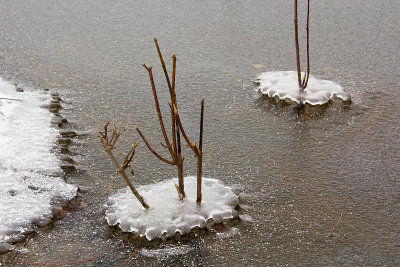 POND AND ICE